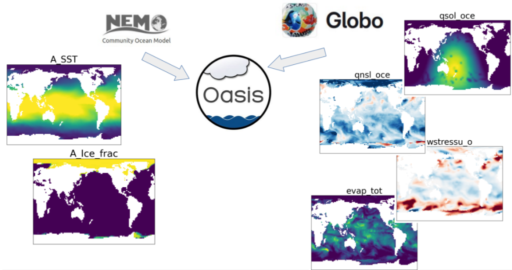 accoppiamento fra GLOBO e NEMO attraverso il coupler OASIS.